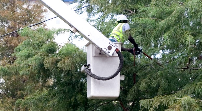 Tree Trimming Power Outage