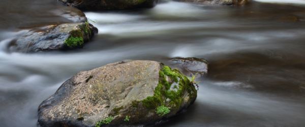 News Water flowing over rocks