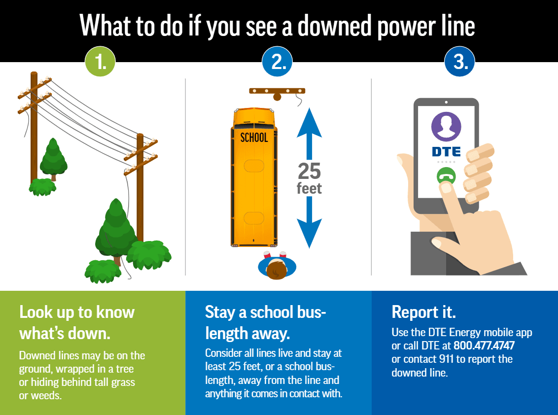 What to do if you see a downed power line